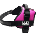 Ultimate Pet Adventure Set: Adjustable Chest Harness With Dog Leash-0