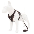 Reflective Adventure Dog Harness-0